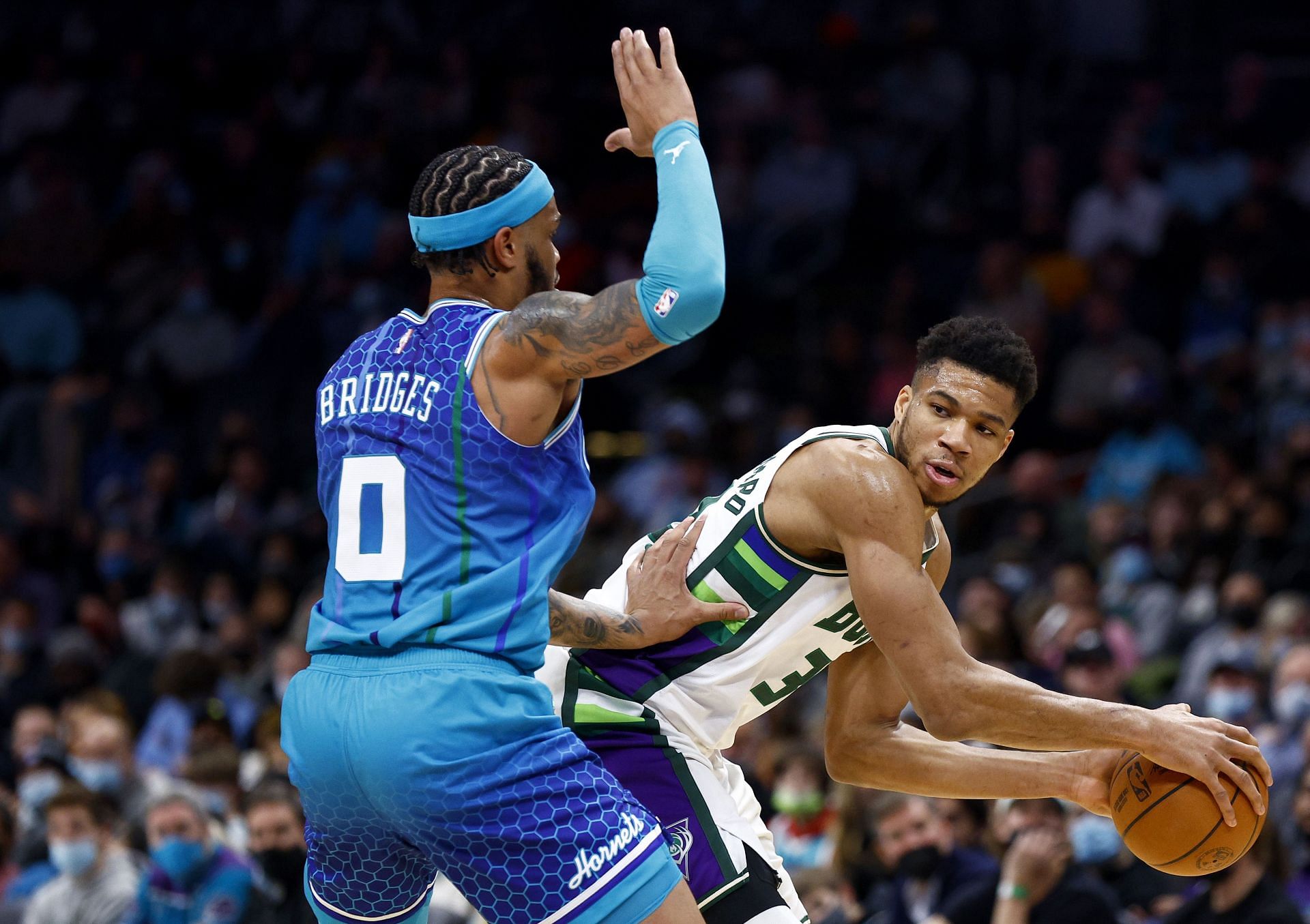 半岛体育注册-雄鹿战胜黄蜂，保持不败纪录