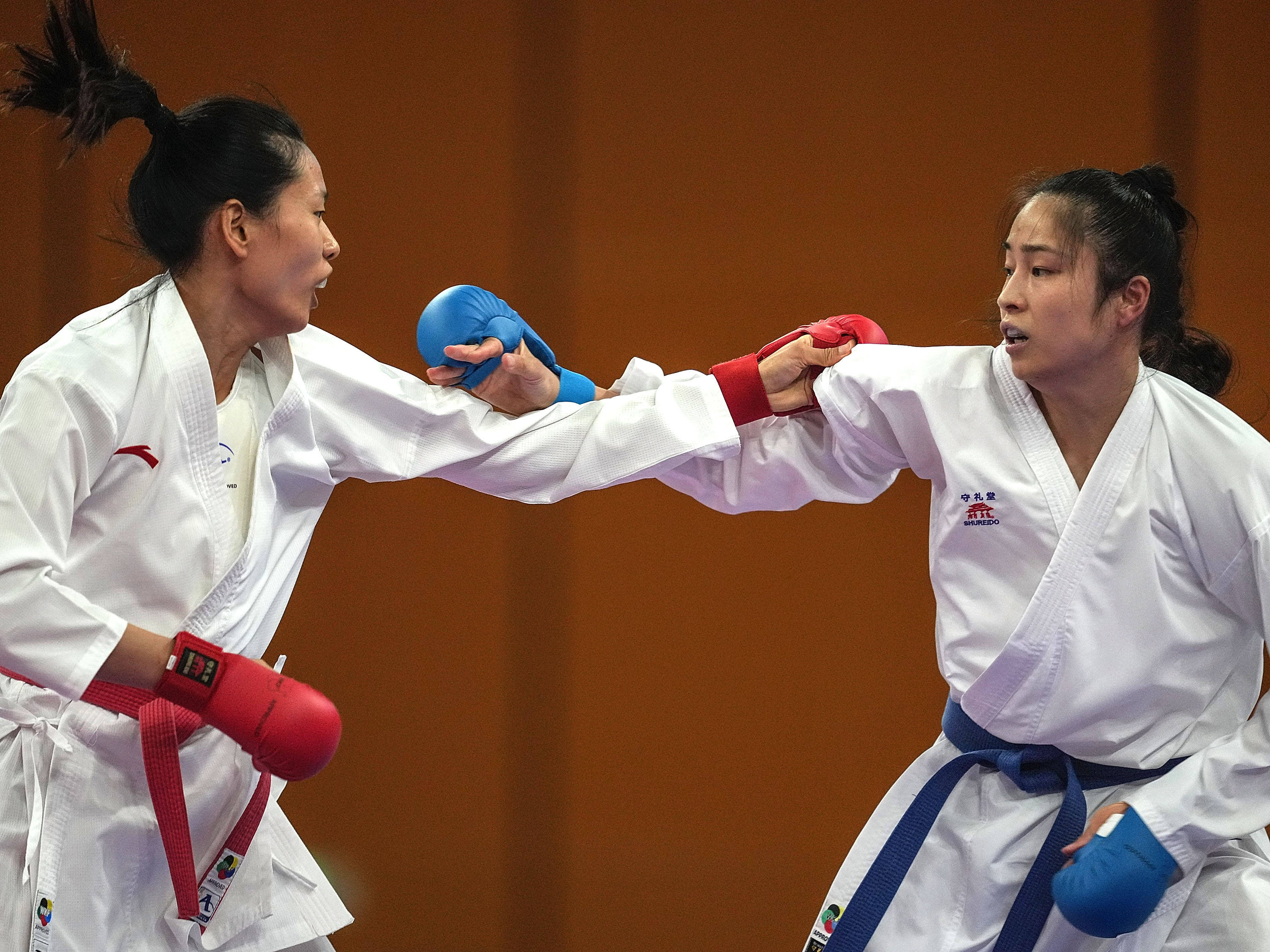 波兰队获得空手道比赛胜利,振奋人心的简单介绍 波兰队获得空手道比赛胜利,振奋人心的简单介绍